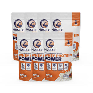 Whey Protein Power Travel Pack